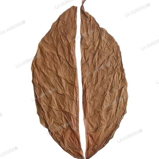 Destemmed wrapper leaf split into two clean halves